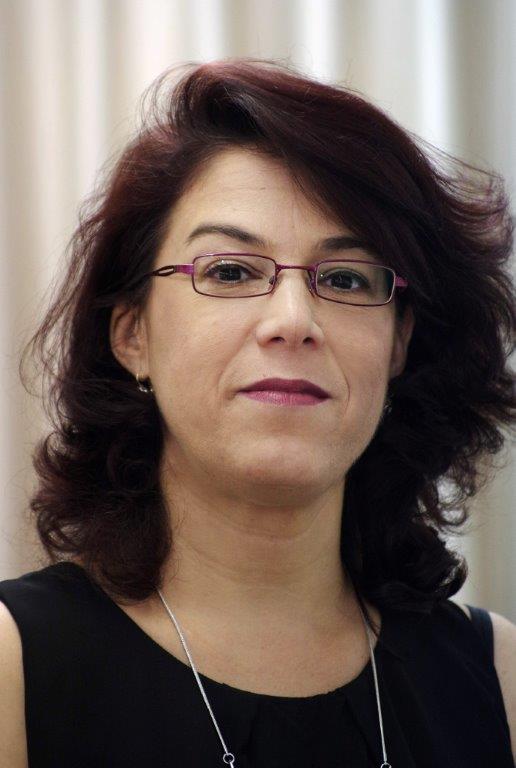 פלג מיכל